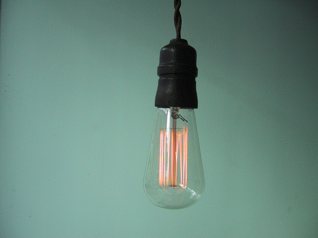 bulb